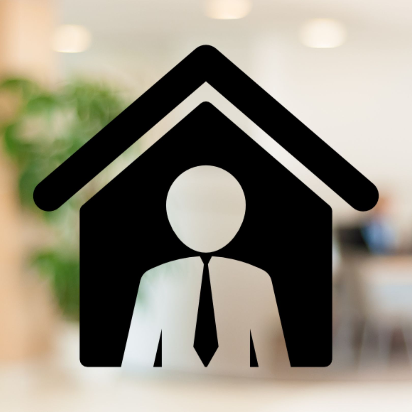 SABIZ Realty